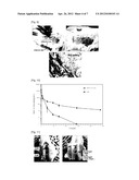 IN SITU FORMING HYDROGEL AND BIOMEDICAL USE THEREOF diagram and image