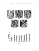 COLLAGEN-BINDING SYNTHETIC PEPTIDOGLYCANS FOR WOUND HEALING diagram and image