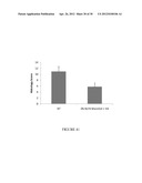 COLLAGEN-BINDING SYNTHETIC PEPTIDOGLYCANS FOR WOUND HEALING diagram and image