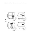 METHOD FOR TREATMENT OF BLOOD TUMOR USING ANTI-TIM-3 ANTIBODY diagram and image