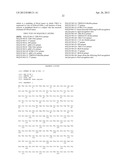 METHOD FOR TREATMENT OF BLOOD TUMOR USING ANTI-TIM-3 ANTIBODY diagram and image