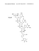 METHODS FOR TREATING OR PREVENTING OPHTHALMOLOGICAL DISEASES diagram and image