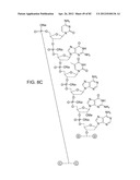 METHODS FOR TREATING OR PREVENTING OPHTHALMOLOGICAL DISEASES diagram and image