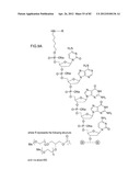 METHODS FOR TREATING OR PREVENTING OPHTHALMOLOGICAL DISEASES diagram and image