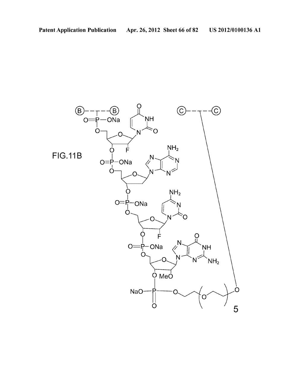 METHODS FOR TREATING OR PREVENTING OPHTHALMOLOGICAL DISEASES - diagram, schematic, and image 67