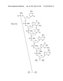 METHODS FOR TREATING OR PREVENTING OPHTHALMOLOGICAL DISEASES diagram and image