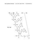 METHODS FOR TREATING OR PREVENTING OPHTHALMOLOGICAL DISEASES diagram and image