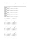 STABLE AND SOLUBLE ANTIBODIES diagram and image