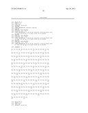 STABLE AND SOLUBLE ANTIBODIES diagram and image