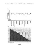 ANTI-CCL25 AND ANTI-CCR9 ANTIBODIES FOR THE PREVENTION AND TREATMENT OF     CANCER AND CANCER CELL MIGRATION diagram and image