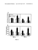 ANTI-CCL25 AND ANTI-CCR9 ANTIBODIES FOR THE PREVENTION AND TREATMENT OF     CANCER AND CANCER CELL MIGRATION diagram and image