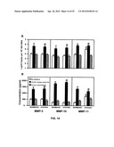 ANTI-CCL25 AND ANTI-CCR9 ANTIBODIES FOR THE PREVENTION AND TREATMENT OF     CANCER AND CANCER CELL MIGRATION diagram and image