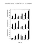 ANTI-CCL25 AND ANTI-CCR9 ANTIBODIES FOR THE PREVENTION AND TREATMENT OF     CANCER AND CANCER CELL MIGRATION diagram and image