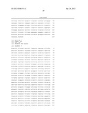 ANTI-CCL25 AND ANTI-CCR9 ANTIBODIES FOR THE PREVENTION AND TREATMENT OF     CANCER AND CANCER CELL MIGRATION diagram and image