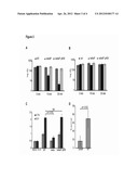 SALMONELLA ENTERICA PRESENTING C. JEJUNI N-GLYCAN OR DERIVATIVES THEREOF diagram and image