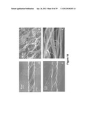 Fabrication of Biscrolled Fiber Using Carbon Nanotube Sheet diagram and image