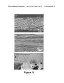 Fabrication of Biscrolled Fiber Using Carbon Nanotube Sheet diagram and image