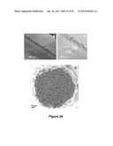 Fabrication of Biscrolled Fiber Using Carbon Nanotube Sheet diagram and image