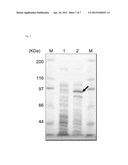 MALTOTRIOSYL TRANSFERASE, PROCESS FOR PRODUCTION THEREOF, AND USE THEREOF diagram and image