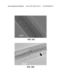 COMPOSITE STRUCTURES CONTAINING HIGH CAPACITY POROUS ACTIVE MATERIALS     CONSTRAINED IN SHELLS diagram and image