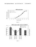 ULTRASOUND ENHANCED GROWTH OF MICROORGANISMS diagram and image