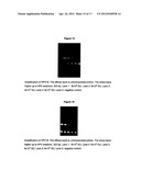 METHOD FOR DETECTION OF HUMAN PAPILLOMAVIRUS (HPV) TYPE diagram and image