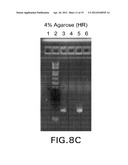 Biological Specimen Collection and Transport System and Methods of Use diagram and image