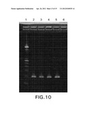 Biological Specimen Collection and Transport System and Methods of Use diagram and image