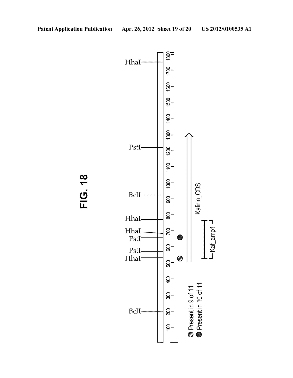 METHODS FOR QUANTITATIVE DETERMINATION OF METHYLATION DENSITY IN A DNA     LOCUS - diagram, schematic, and image 20