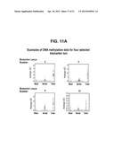 GENE METHYLATION IN CANCER DIAGNOSIS diagram and image