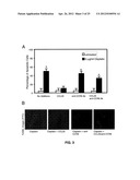 DETECTING CANCER WITH ANTI-CCL25 AND ANTI-CCR9 ANTIBODIES diagram and image