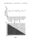 DETECTING CANCER WITH ANTI-CCL25 AND ANTI-CCR9 ANTIBODIES diagram and image