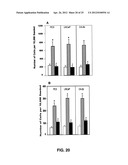 DETECTING CANCER WITH ANTI-CCL25 AND ANTI-CCR9 ANTIBODIES diagram and image