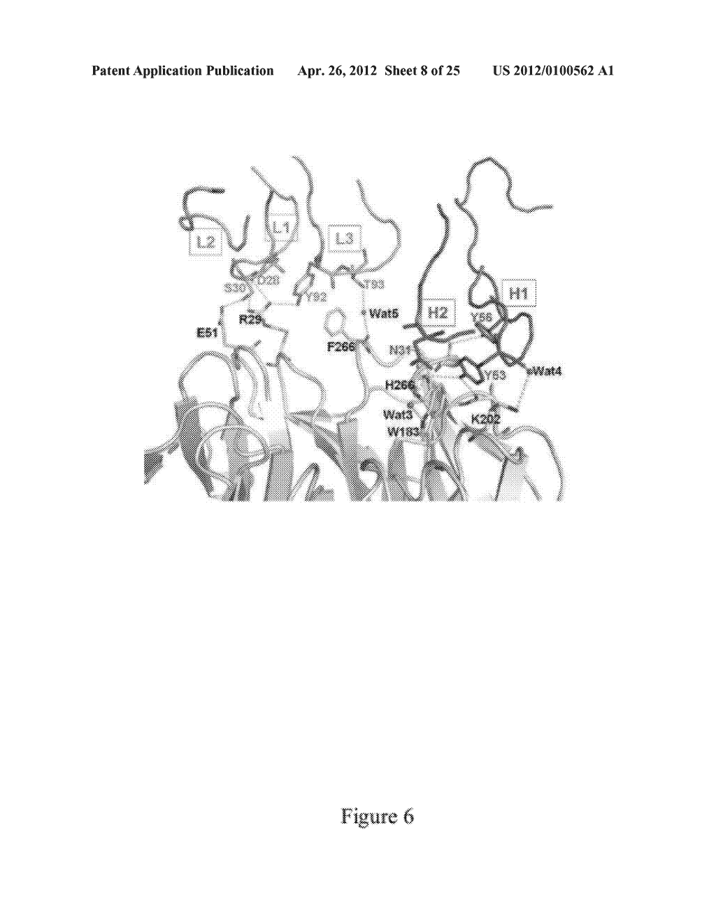 METHODS AND COMPOSITIONS FOR MODULATING THE WNT PATHWAY - diagram, schematic, and image 09