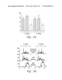 HIGH PRESSURE ENZYMATIC DIGESTION SYSTEM FOR PROTEIN CHARACTERIZATION diagram and image