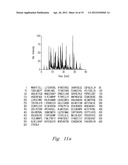 HIGH PRESSURE ENZYMATIC DIGESTION SYSTEM FOR PROTEIN CHARACTERIZATION diagram and image