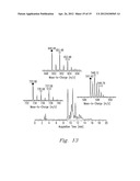 HIGH PRESSURE ENZYMATIC DIGESTION SYSTEM FOR PROTEIN CHARACTERIZATION diagram and image