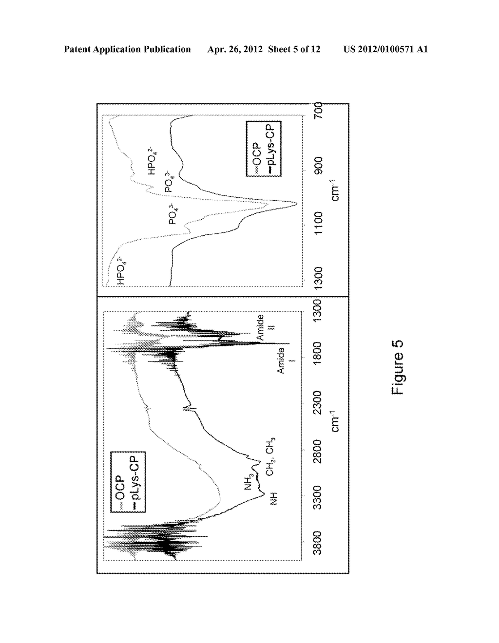 METHODS AND MATERIALS FOR NANOCRYSTALLINE SURFACE COATINGS AND ATTACHMENT     OF PEPTIDE AMPHIPHILE NANOFIBERS THEREON - diagram, schematic, and image 06