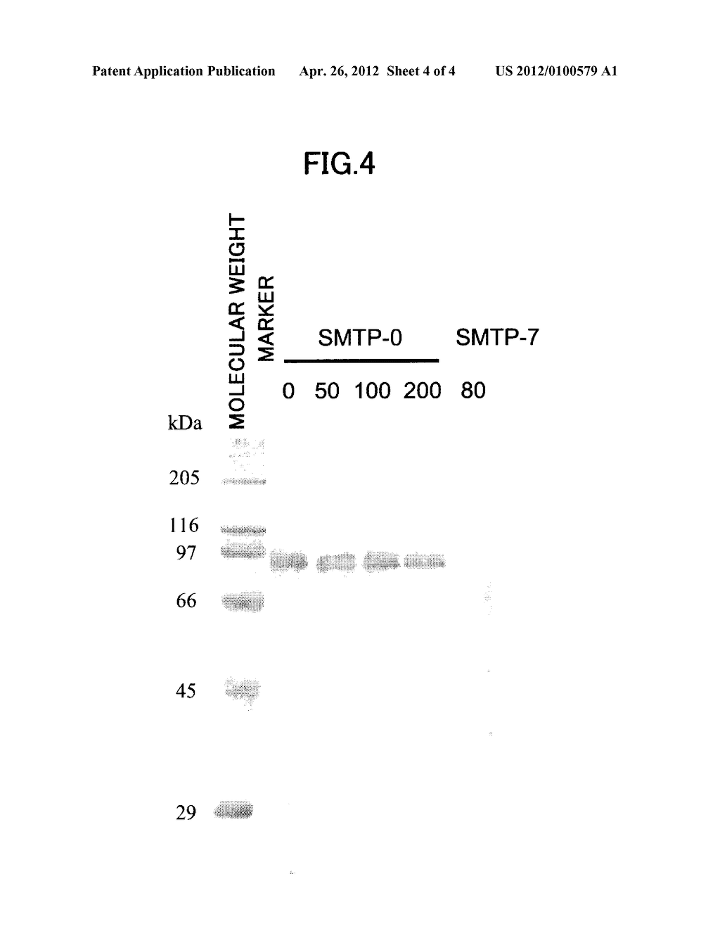 TRIPRENYL PHENOL COMPOUND, PROCESS FOR PRODUCTION OF TRIPRENYL PHENOL     COMPOUND, AND THROMBOLYSIS ENHANCER - diagram, schematic, and image 05