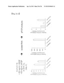 REVASCULARIZATION CELLS DERIVED FROM MONONUCLEAR CELLS, AND METHOD OF     INDUCING DIFFERENTIATION THEREOF diagram and image