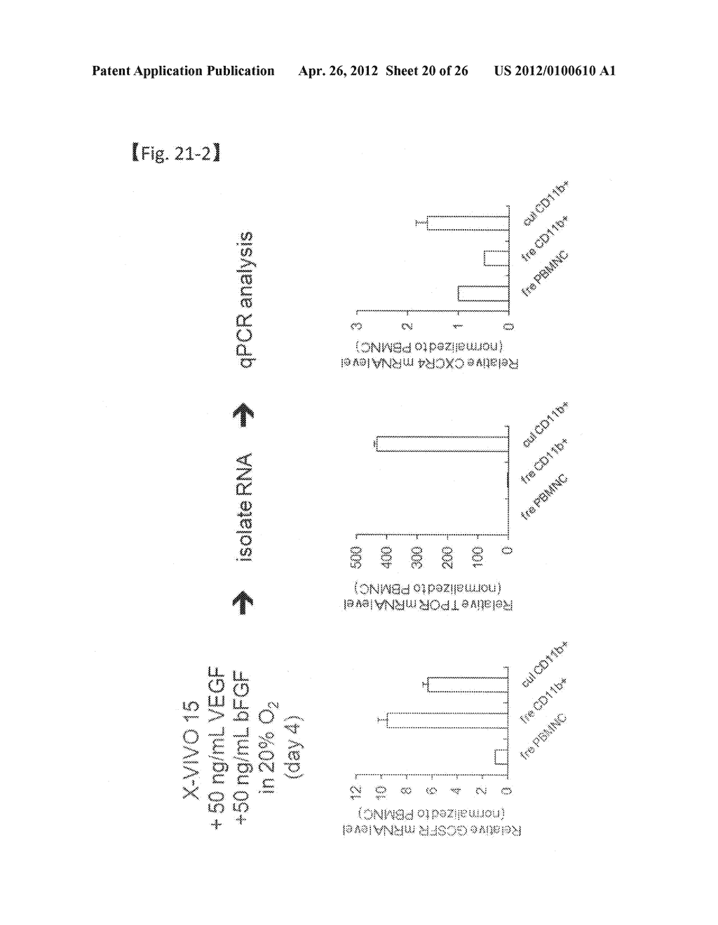 REVASCULARIZATION CELLS DERIVED FROM MONONUCLEAR CELLS, AND METHOD OF     INDUCING DIFFERENTIATION THEREOF - diagram, schematic, and image 21