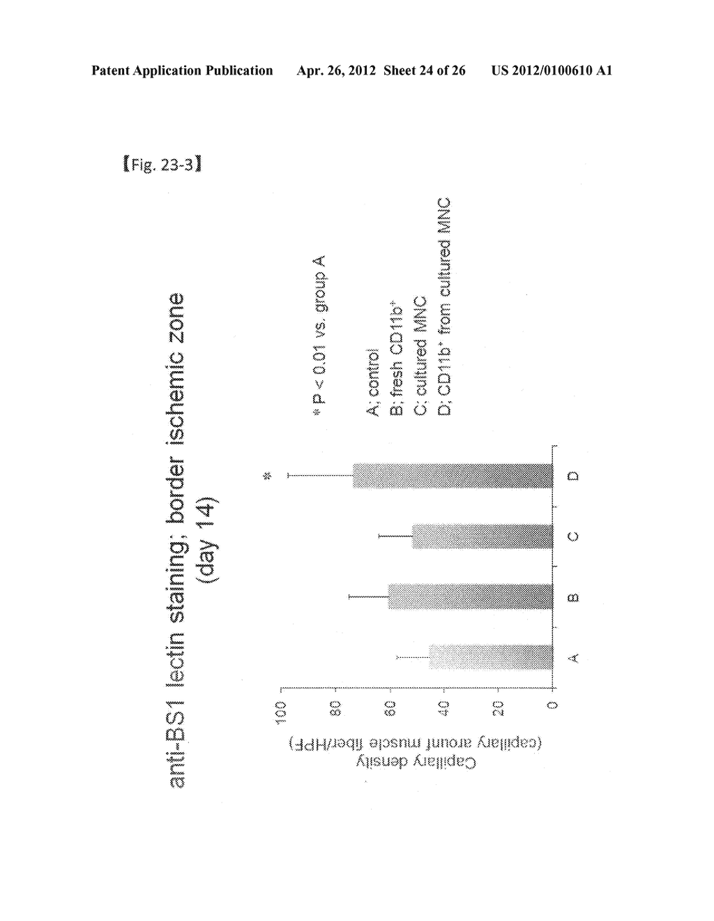 REVASCULARIZATION CELLS DERIVED FROM MONONUCLEAR CELLS, AND METHOD OF     INDUCING DIFFERENTIATION THEREOF - diagram, schematic, and image 25