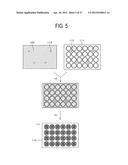 CULTURE SUBSTRATE, CULTURE SHEET, AND CELL CULTURE METHOD diagram and image