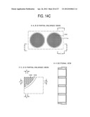 CULTURE SUBSTRATE, CULTURE SHEET, AND CELL CULTURE METHOD diagram and image