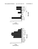 CELL FATE CONVERSION OF DIFFERENTIATED SOMATIC CELLS INTO GLIAL CELLS diagram and image