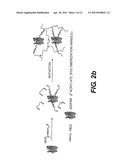 BIOSENSOR DEVICE FOR SENSING AMPHIPATHIC ANALYTES diagram and image