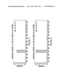 MONOCLONAL ANTIBODIES TO HUMAN IMMUNODEFICIENCY VIRUS AND USES THEREOF diagram and image