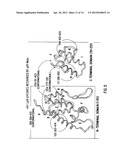 MONOCLONAL ANTIBODIES TO HUMAN IMMUNODEFICIENCY VIRUS AND USES THEREOF diagram and image