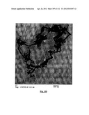 SILVER NANOPLATES diagram and image