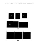 SILVER NANOPLATES diagram and image